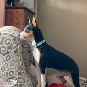 Meet your Posher, Christine